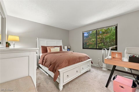 Tiny photo for 7033 Buckhurst Place, Concord Township, OH 44060 (MLS # 5255170)
