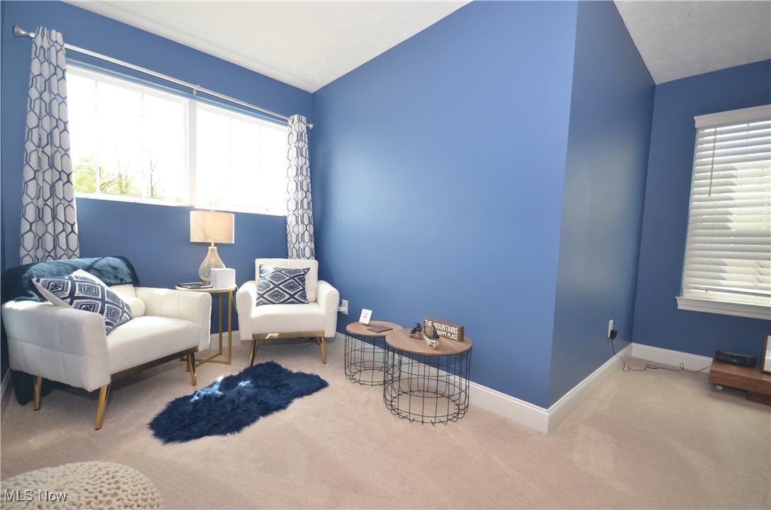 248 Woodside Lane, Tallmadge, Ohio image 31