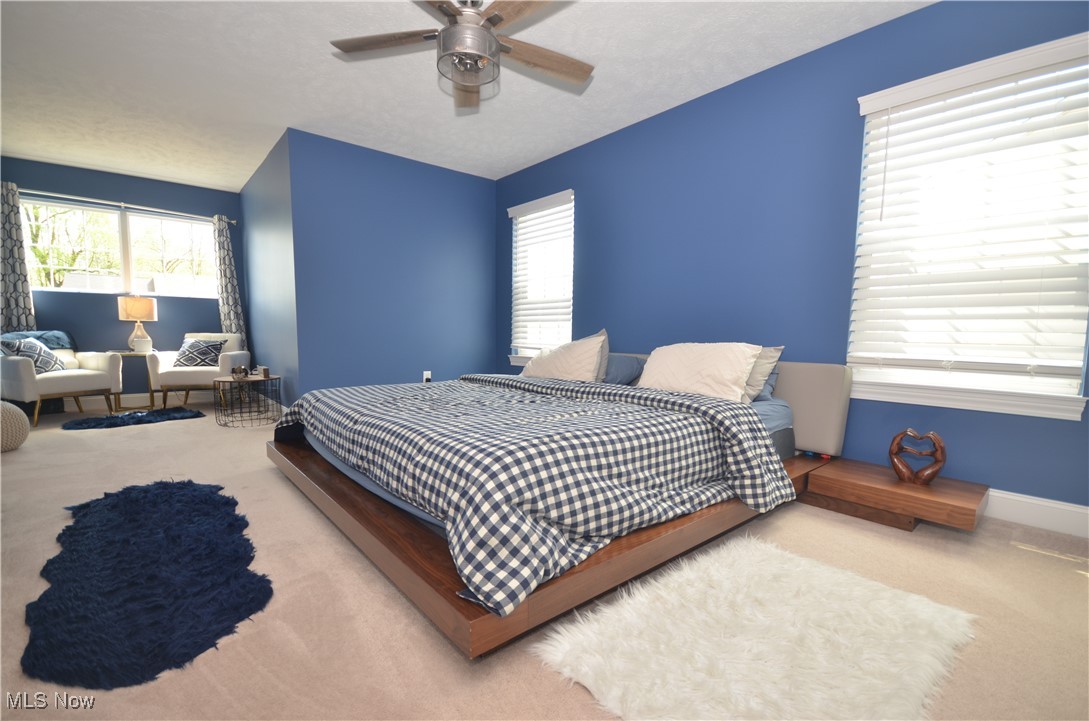 248 Woodside Lane, Tallmadge, Ohio image 30