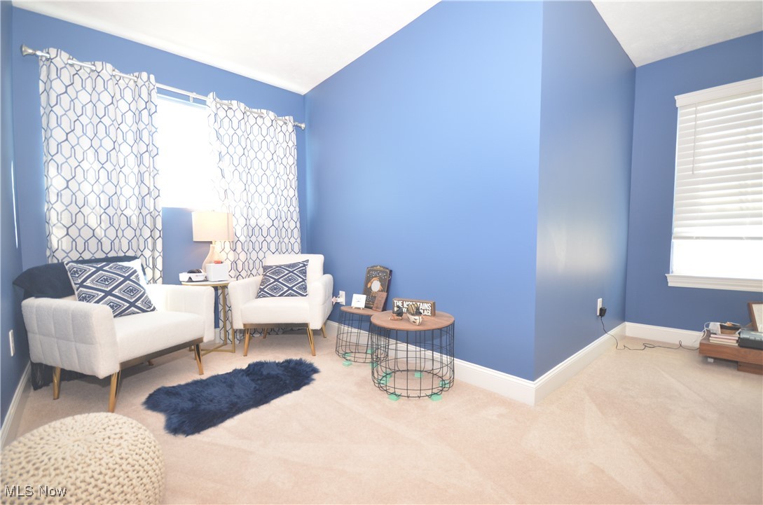 248 Woodside Lane, Tallmadge, Ohio image 35