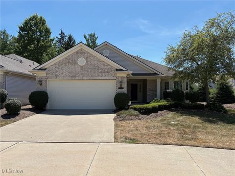 21369 Greenfield Place, Strongsville, OH 44149 - #: 5142441