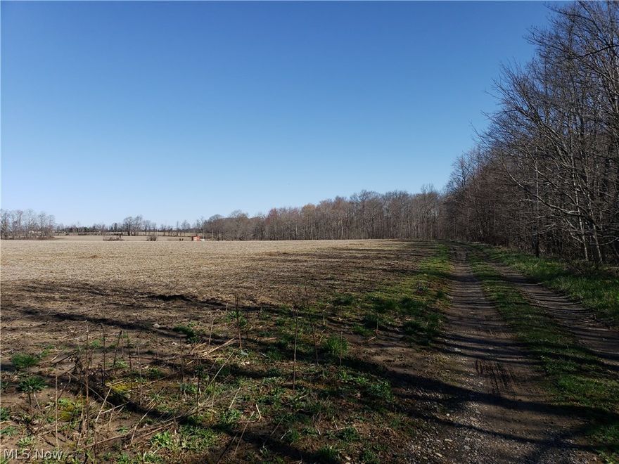 Great building lot in James A. Garfield ( Garrettsville) Schools. This beautiful 2.99 acres is ready for you!