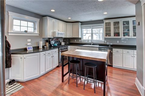 Tiny photo for 41 W 5th Avenue, Berea, OH 44017 (MLS # 5180073)