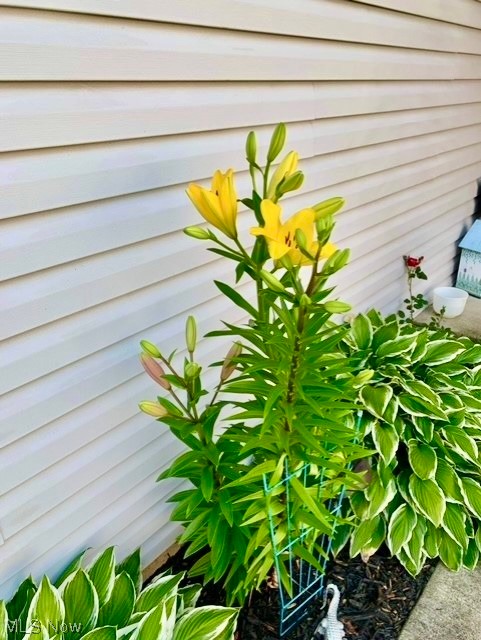 Country Club Estates - Residential