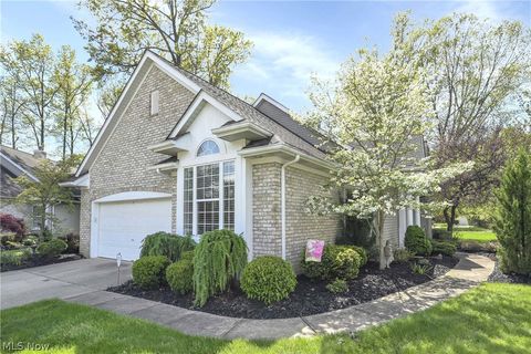 3784 Camden Court, Westlake, OH 44145 - #: 5036887