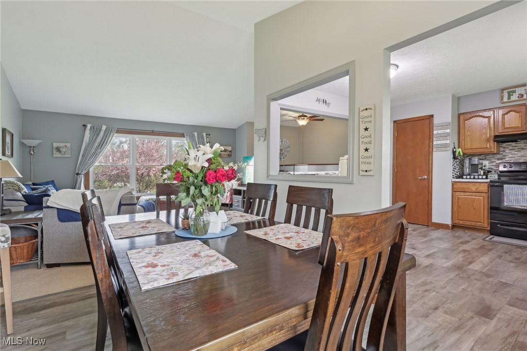 4745 Cottonwood Lane, Brunswick, Ohio image 10