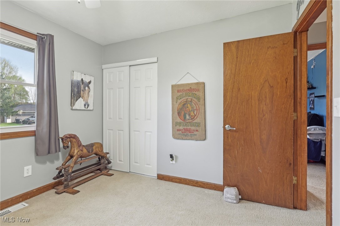 4745 Cottonwood Lane, Brunswick, Ohio image 20