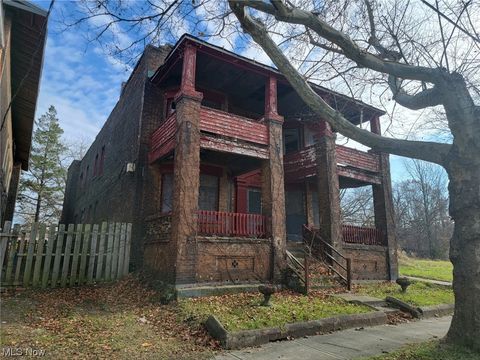 Quadruplex in Cleveland OH 1045 71st St 1.jpg