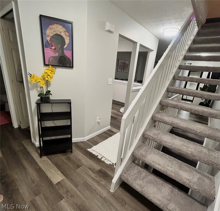 Steeple Chase - Residential