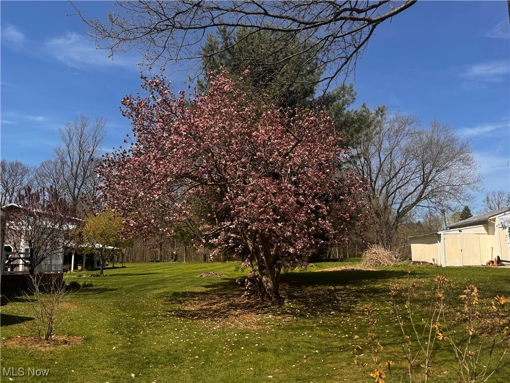 3315 W Streetsboro Road, Richfield, Ohio image 33