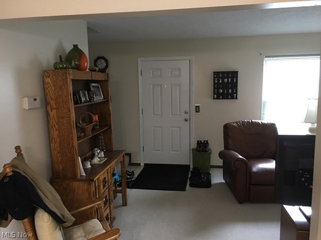 Village In Falls Condo - Residential