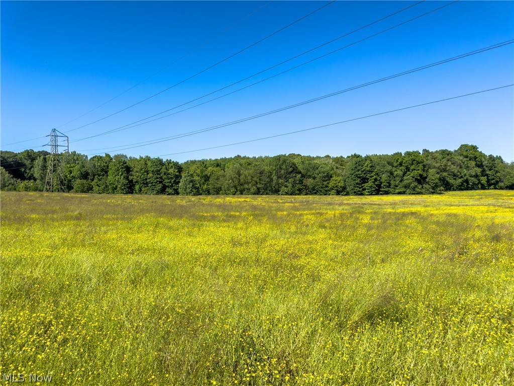 Taylor Road, Doylestown, Ohio image 8