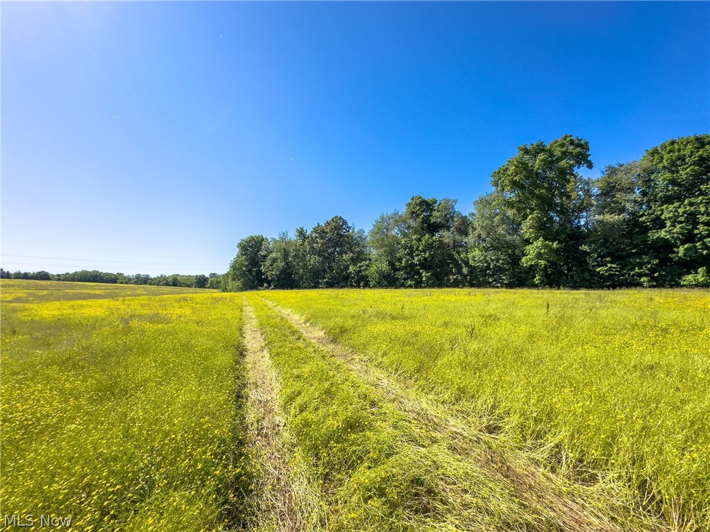 Taylor Road, Doylestown, Ohio image 6