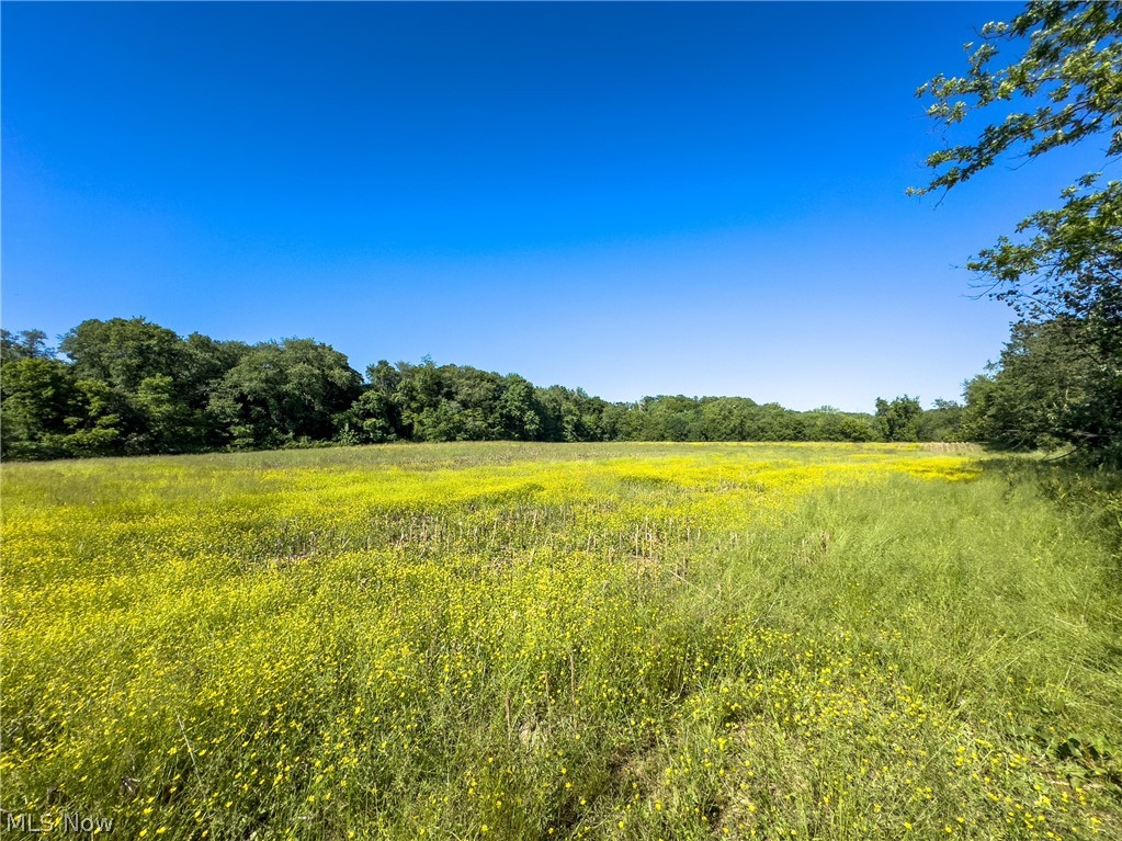 Taylor Road, Doylestown, Ohio image 13