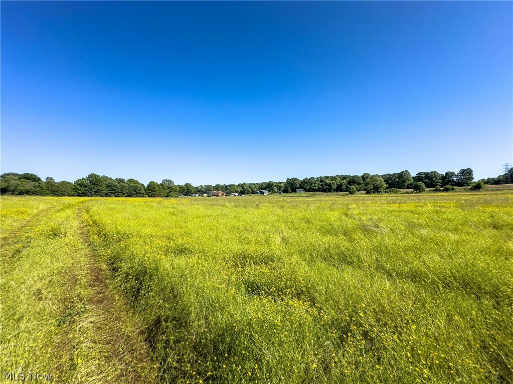 Taylor Road, Doylestown, Ohio image 7