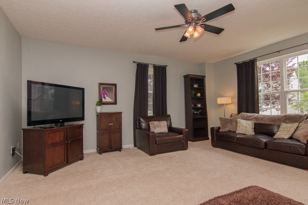 Falls Pointe Clstr Ph 01-B3b - Residential