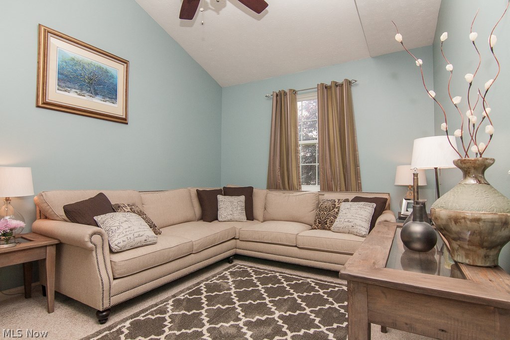 Falls Pointe Clstr Ph 01-B3b - Residential