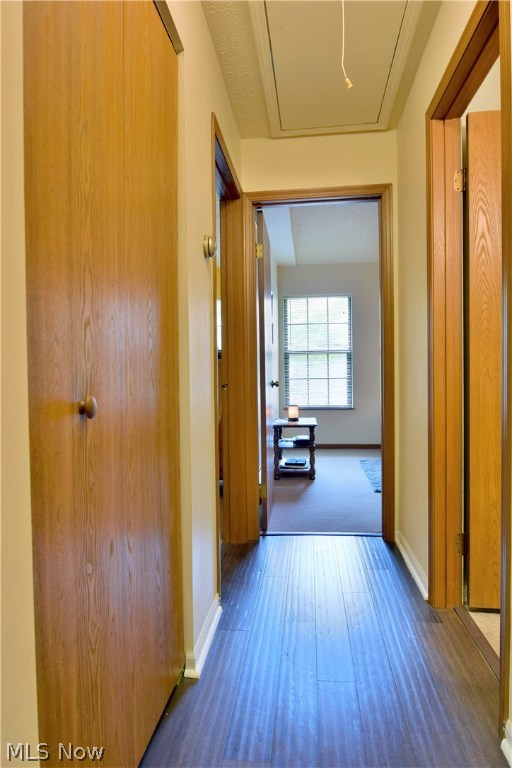 North Woods Condo - Residential