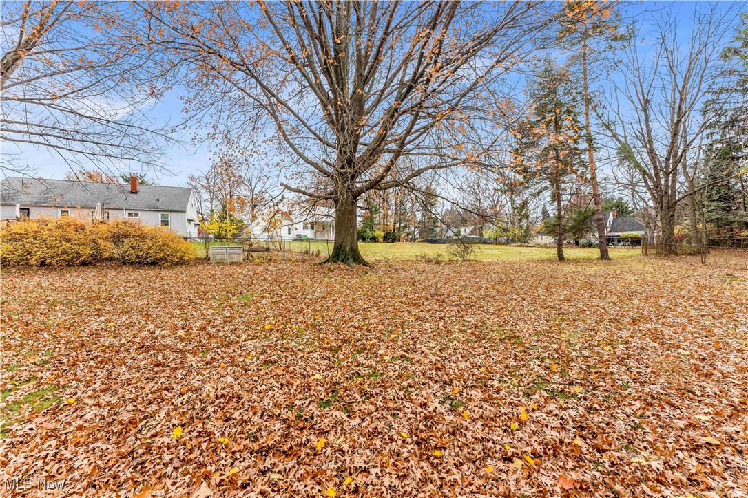 19720 Upper Terrace Drive, Euclid, Ohio image 4