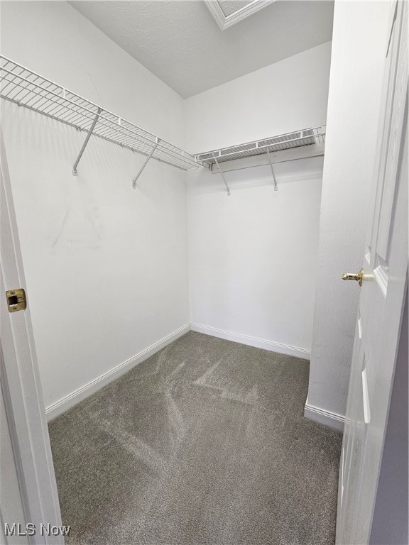 Wildflower Condo Ph 07 - Residential