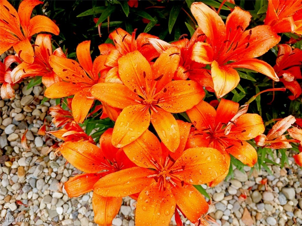 Glenwood Preserve Sub - Residential