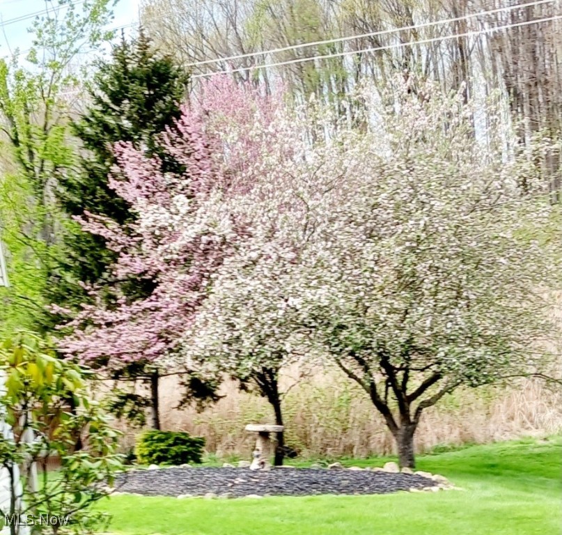 Glenwood Preserve Sub - Residential