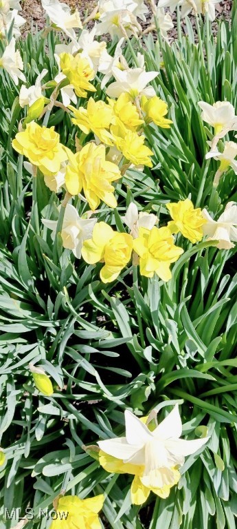 Glenwood Preserve Sub - Residential