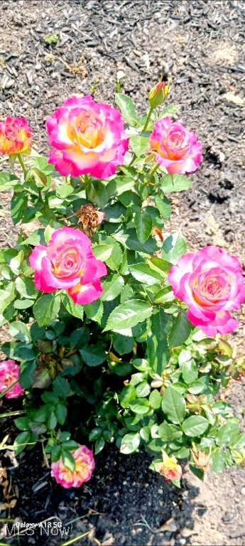 Glenwood Preserve Sub - Residential