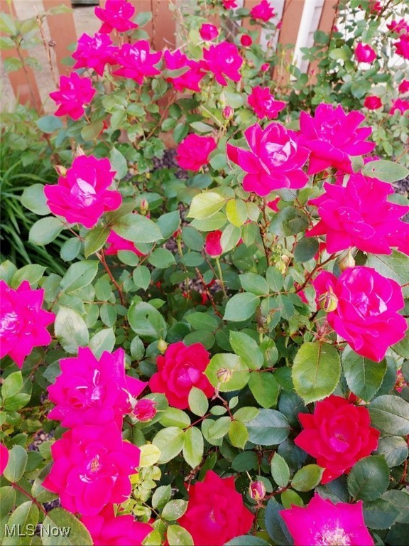 Glenwood Preserve Sub - Residential