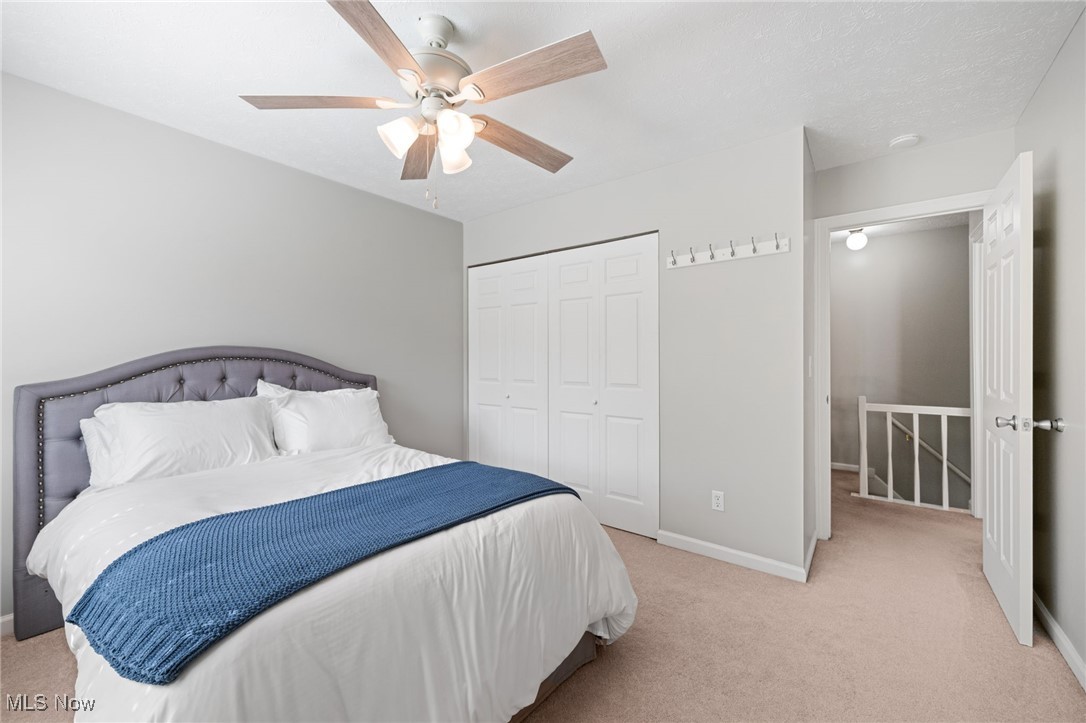 Big Turtle 1 - Residential