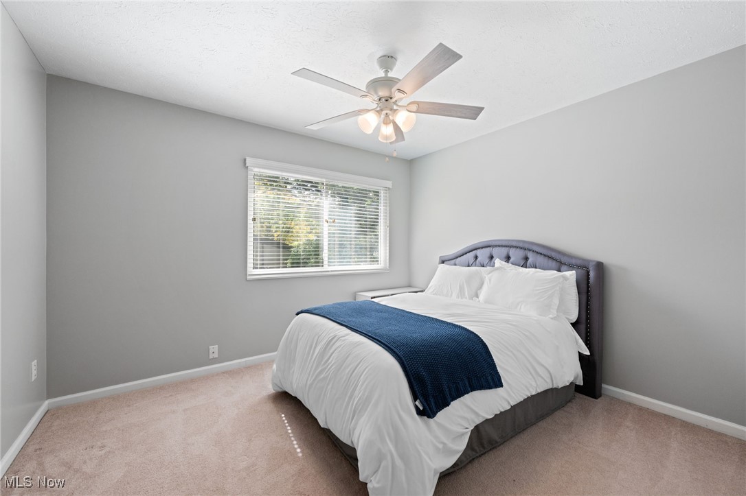 Big Turtle 1 - Residential