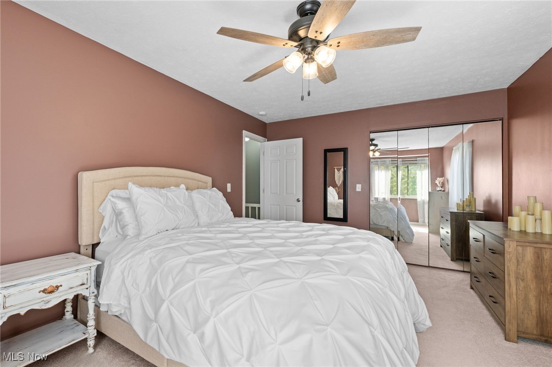 Big Turtle 1 - Residential