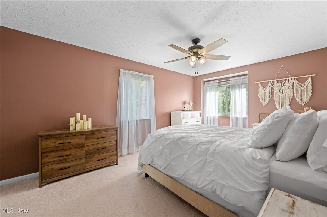 Big Turtle 1 - Residential