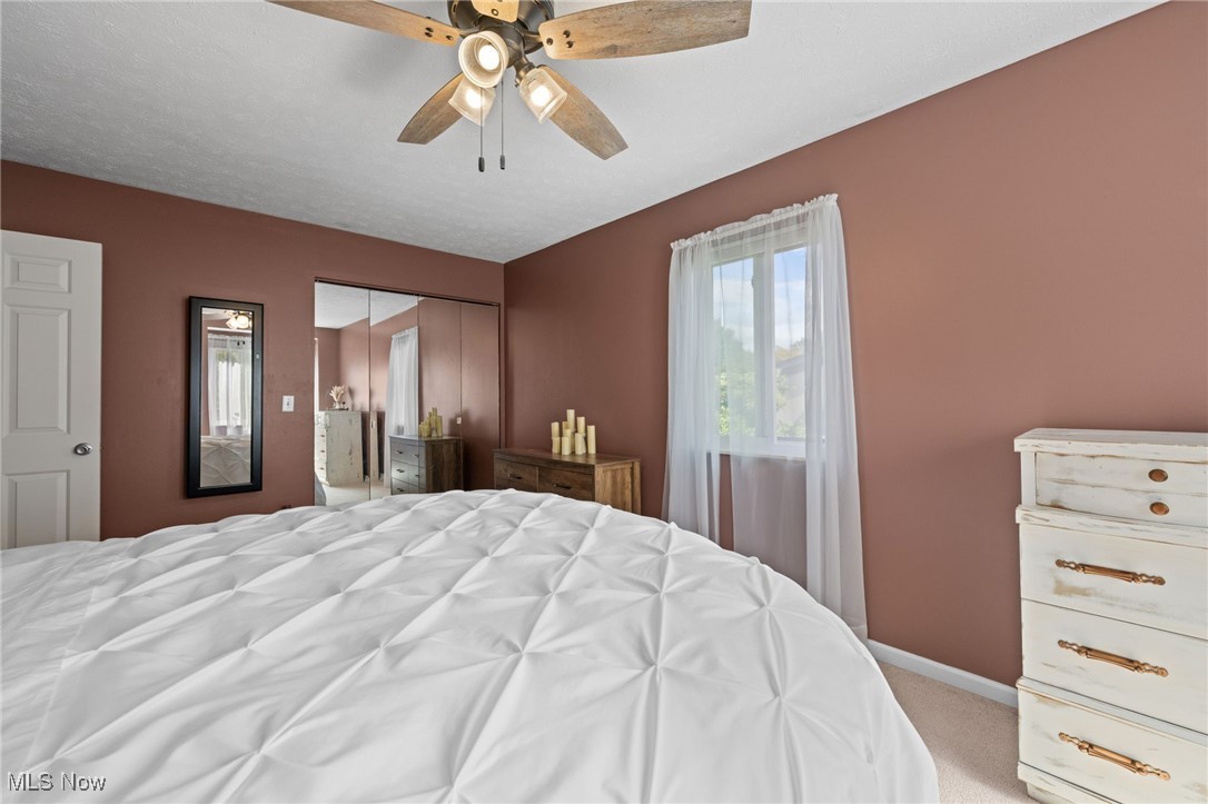 Big Turtle 1 - Residential