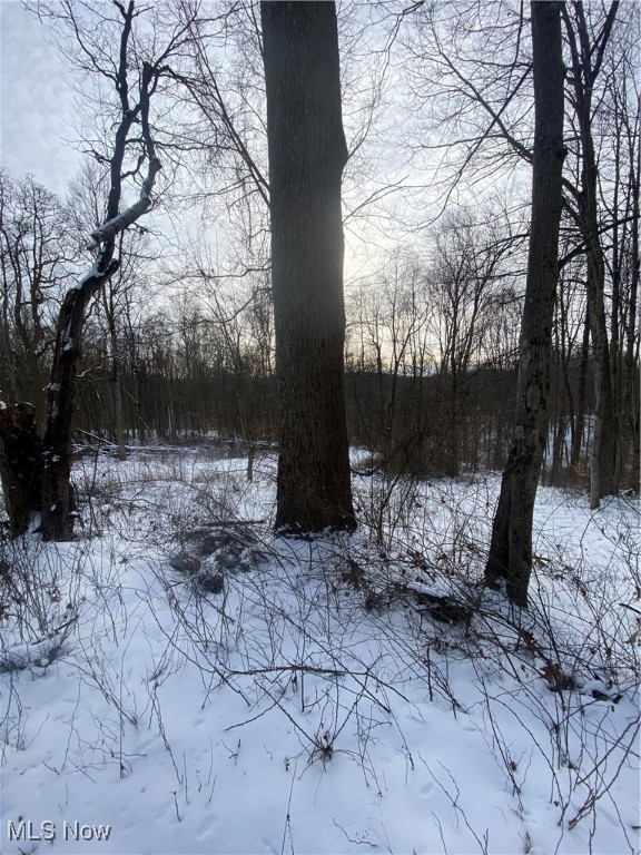 Pugh Ridge, Alledonia, Ohio image 35