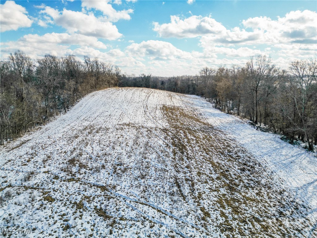 Pugh Ridge, Alledonia, Ohio image 49
