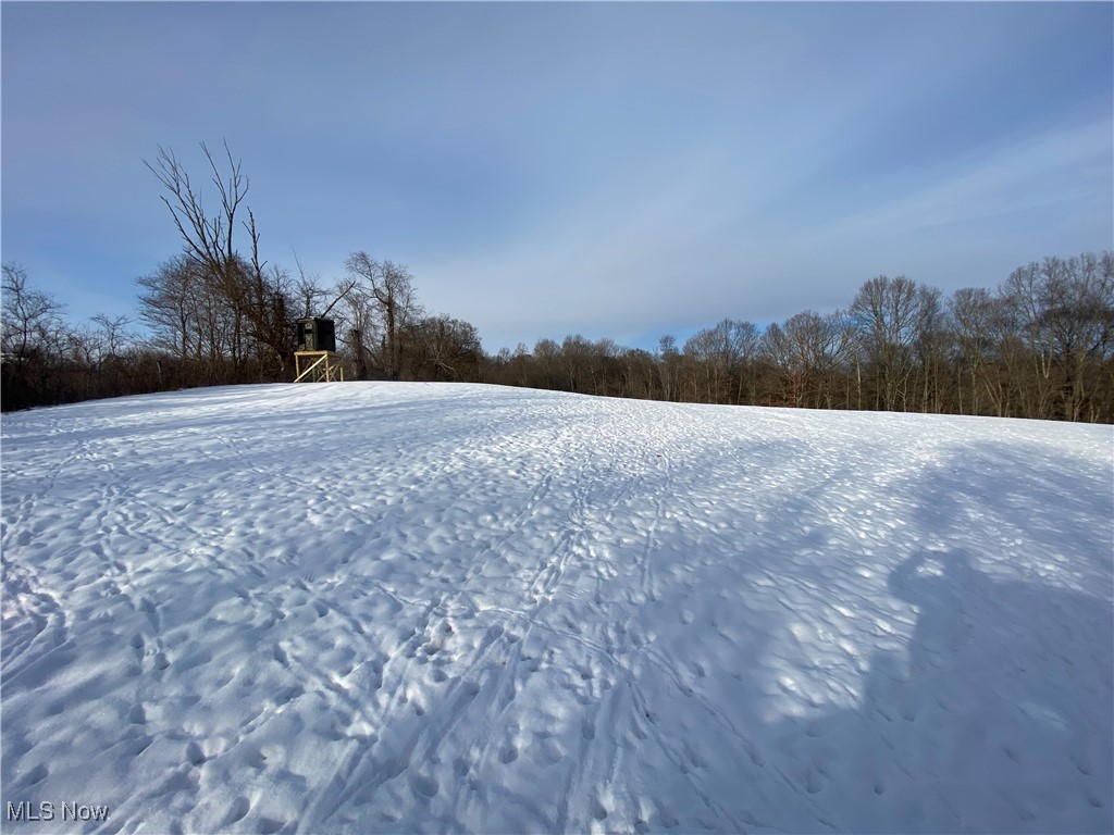 Pugh Ridge, Alledonia, Ohio image 7