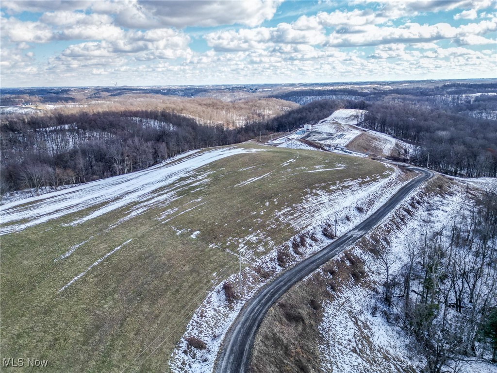 Pugh Ridge, Alledonia, Ohio image 44
