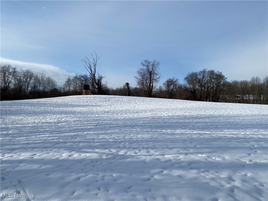 Pugh Ridge, Alledonia, Ohio image 8