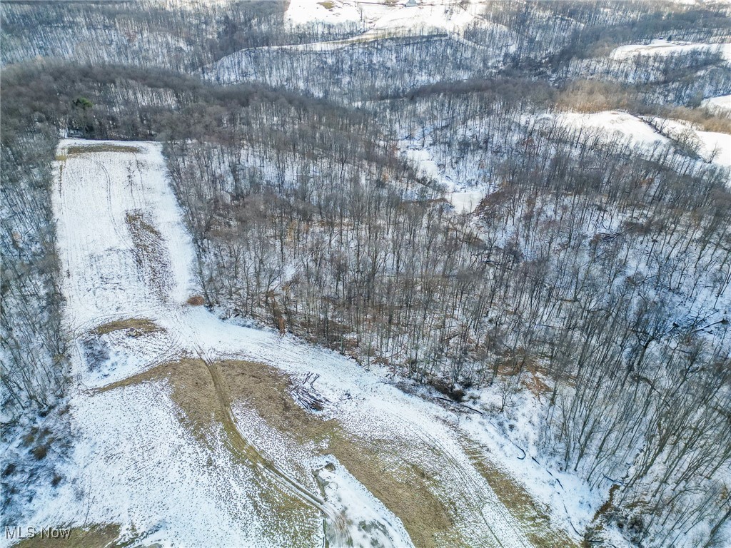 Pugh Ridge, Alledonia, Ohio image 14