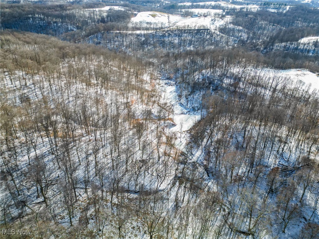 Pugh Ridge, Alledonia, Ohio image 24
