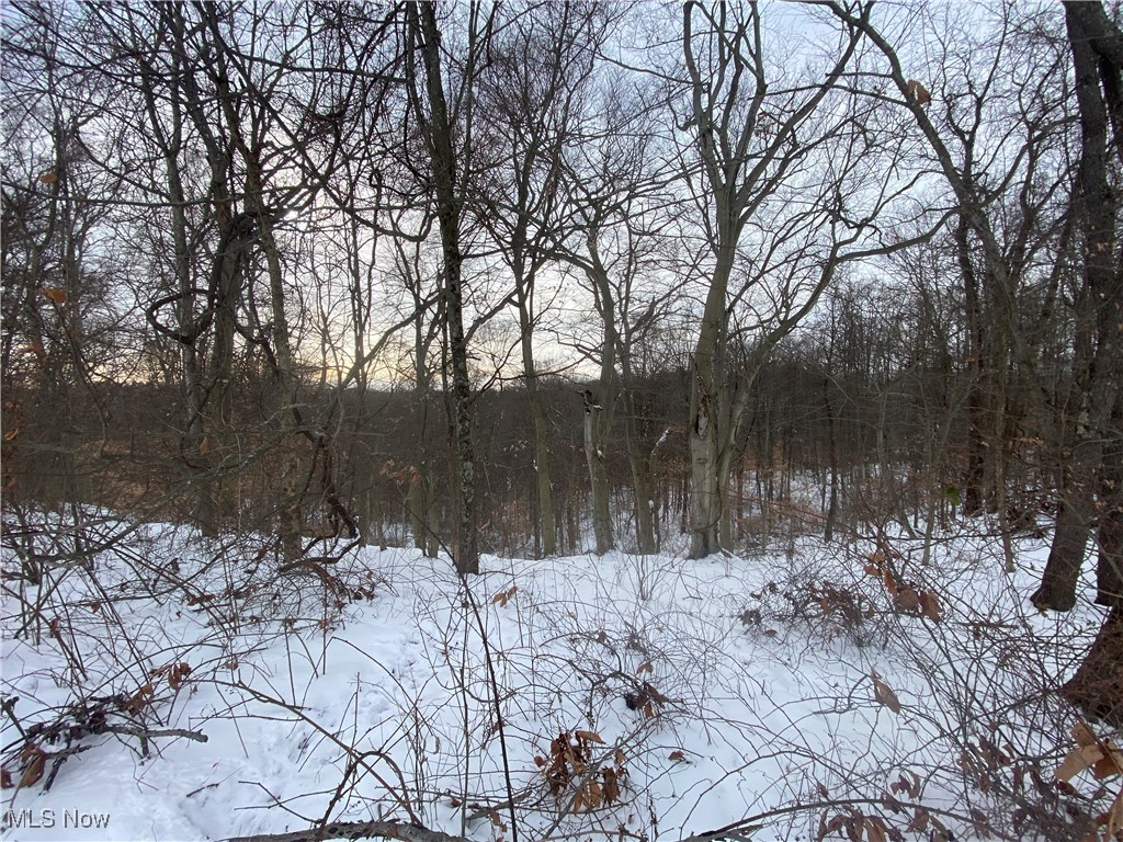 Pugh Ridge, Alledonia, Ohio image 36