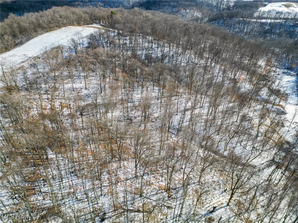 Pugh Ridge, Alledonia, Ohio image 9