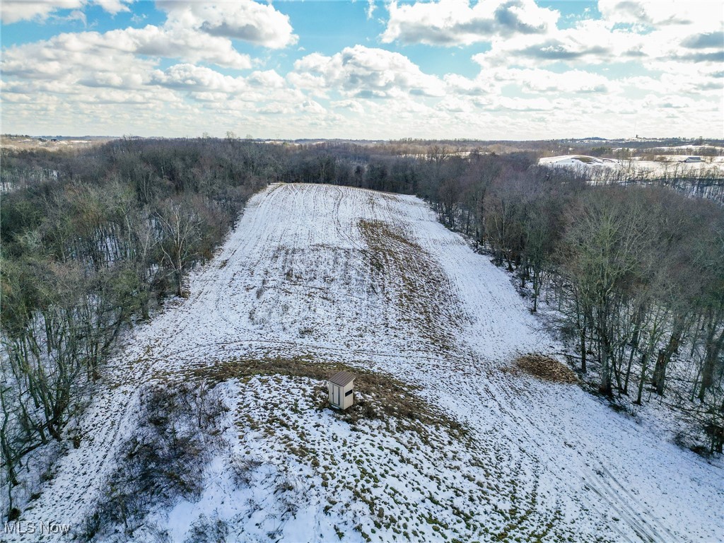 Pugh Ridge, Alledonia, Ohio image 48