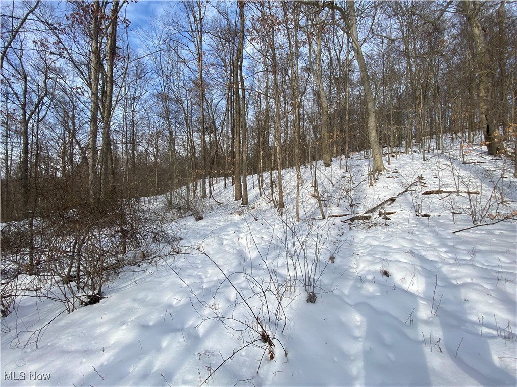 Pugh Ridge, Alledonia, Ohio image 30