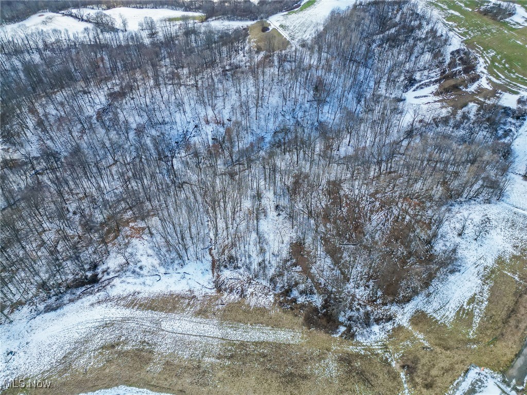 Pugh Ridge, Alledonia, Ohio image 15