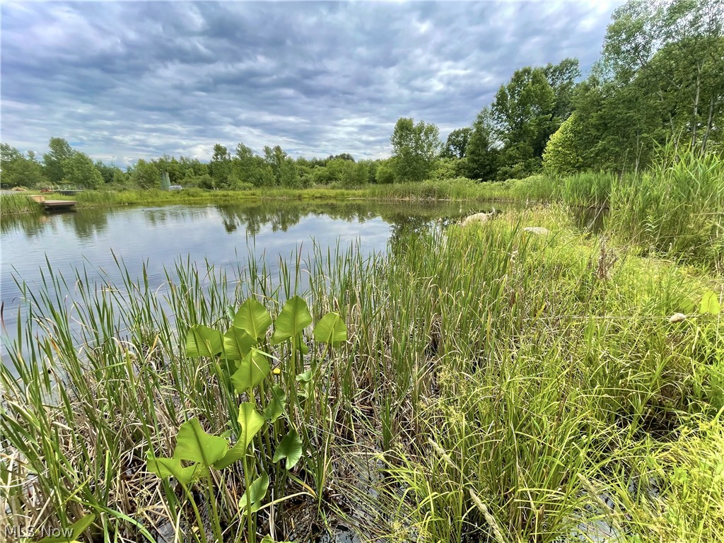 Powder Mill Run 1 - Residential