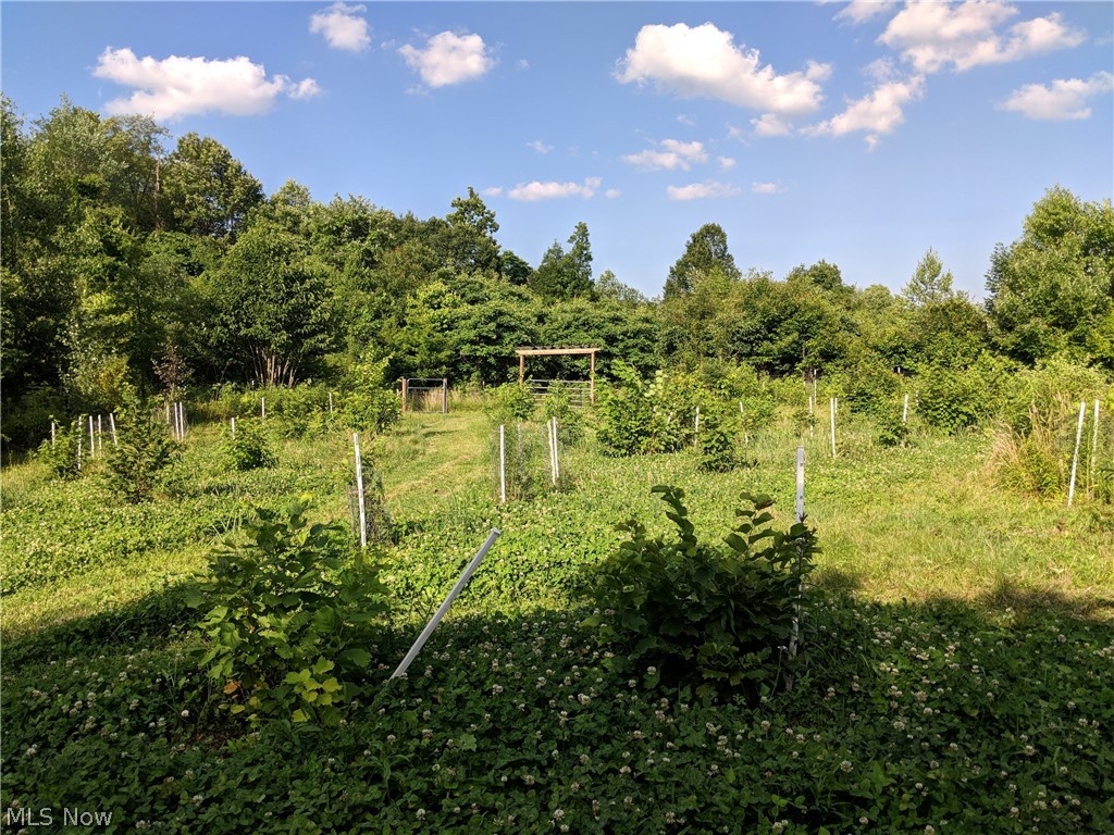 Powder Mill Run 1 - Residential