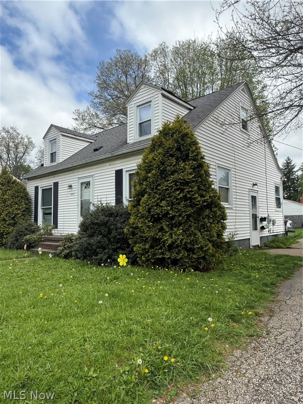 Photo of 1055 Frederick Boulevard, Akron, OH 44320 (MLS # 5204644)