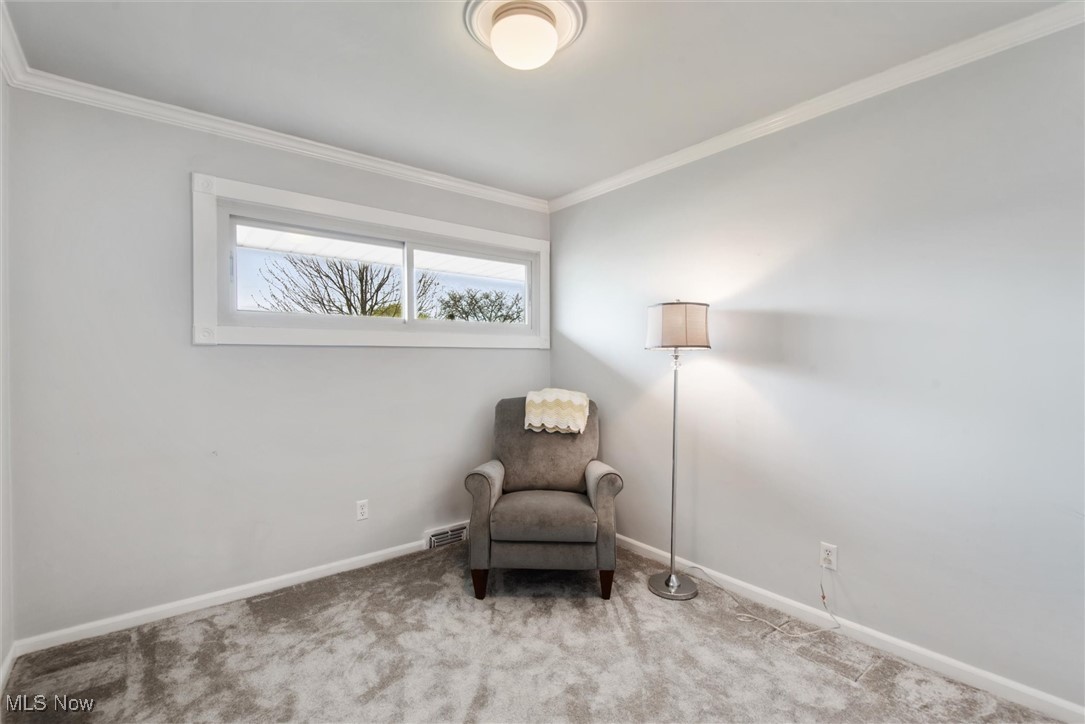 10371 Moore Drive, Parma, Ohio image 21
